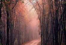 股票机构账户开户要多少钱:排名前10的证券公司-金银缘何“大爆发”？一文读懂：来看看“雪崩”的全球债市吧！